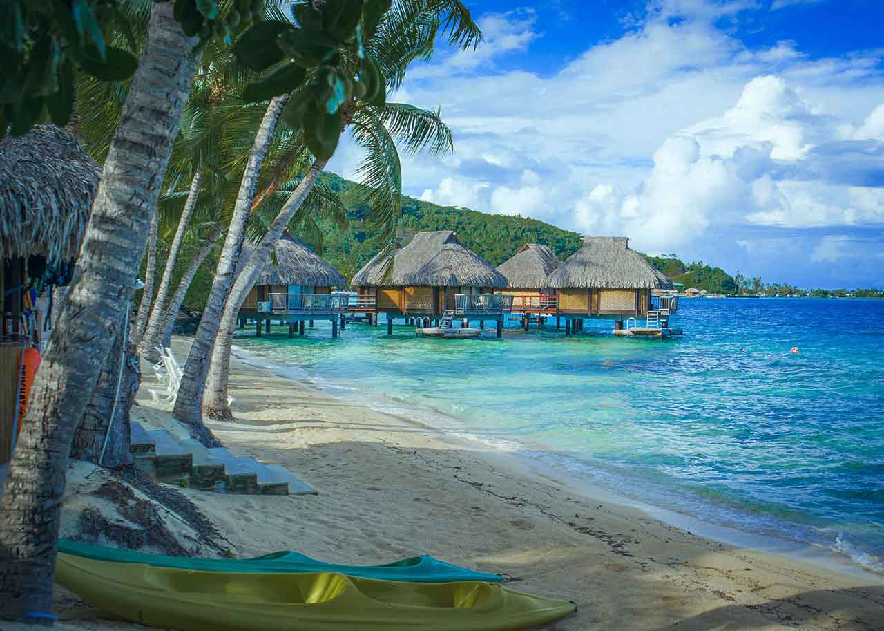 paradise blue